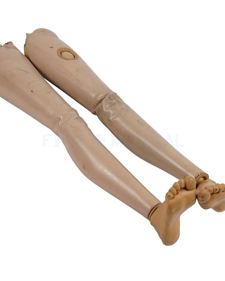 False Legs